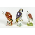 A group of three Royal Crown Derby paperweights, all modelled as birds of prey, comprising 'Red Kite... 