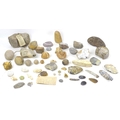 A collection of various archaeological and geological finds, including a piece from a Roman rotary q... 