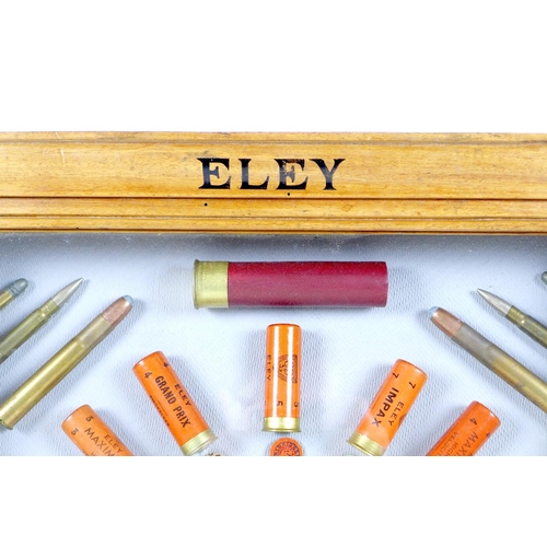 177 - An Eley Cartridges shooting retail display case, with an arrangement of various caliber and gauge am... 