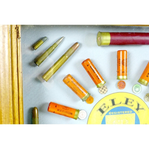 177 - An Eley Cartridges shooting retail display case, with an arrangement of various caliber and gauge am... 