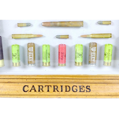 177 - An Eley Cartridges shooting retail display case, with an arrangement of various caliber and gauge am... 