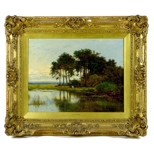 188 - C. Winter (British, 19th century): a country landscape with two figures by a pond and trees, signed ... 