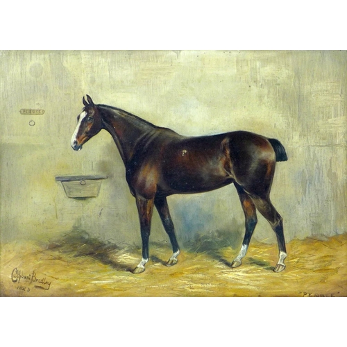 197 - Cuthbert Bradley (British, 1861-1943): 'Pebble', equine portrait, a study of a bay hunter, with dock... 