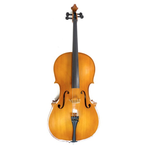 152 - A full four quarter size cello by Cathedral, body length, 77.5cm, 30.5 inches, total length 126cm by... 