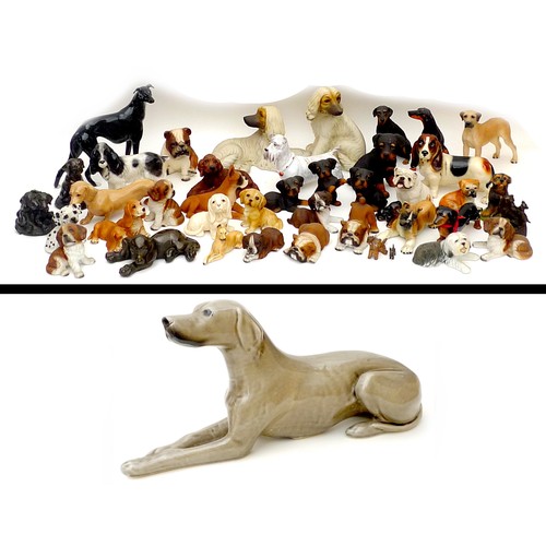23 - A large litter of over forty china figurines, all modelled as dogs, featuring various different bree... 