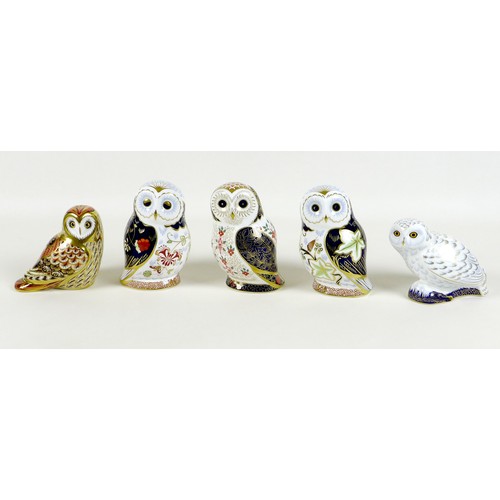 52 - A group of five Royal Crown Derby paperweights, all modelled as birds, comprising 'Twilight Owl', MM... 