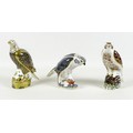 A group of three Royal Crown Derby paperweights, all modelled as birds of prey, comprising White Tai... 