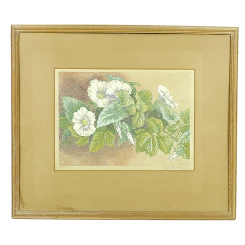 225 - After Wilfrid Rene Wood (British, 1888-1976): a still life lithographic print, 'Convolvulus and Rhub... 