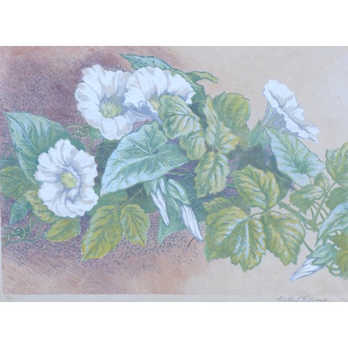 225 - After Wilfrid Rene Wood (British, 1888-1976): a still life lithographic print, 'Convolvulus and Rhub... 