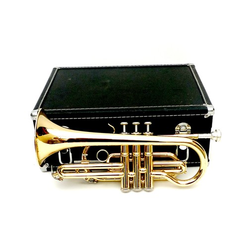 151 - A Sonata cornet, with mother of pearl buttons, 38cm long, in fitted black case, 40 by 30 by 16cm hig... 