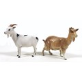 Two goat figurines, comprising a Beswick 'Goat', model 1035, tan - gloss, missing both horns, a/f, t... 
