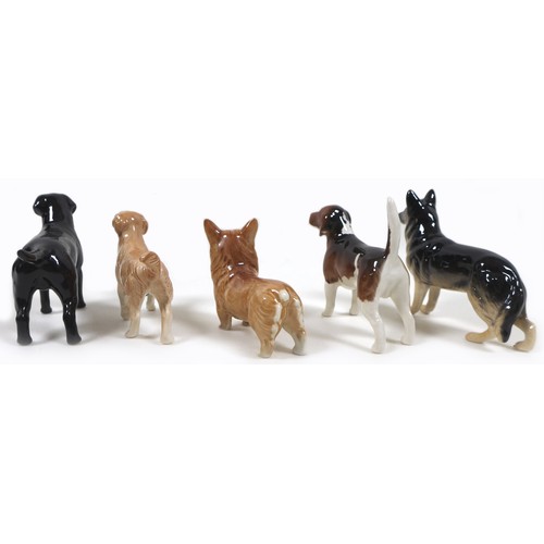 46 - A group of five Beswick dogs, comprising 'Labrador - Small', model 1956, black - gloss, 8.3cm high, ... 