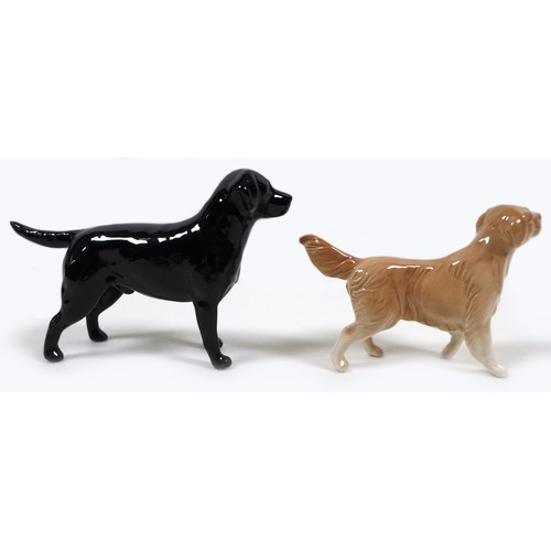 46 - A group of five Beswick dogs, comprising 'Labrador - Small', model 1956, black - gloss, 8.3cm high, ... 