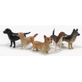 A group of five Beswick dogs, comprising 'Labrador - Small', model 1956, black - gloss, 8.3cm high, ... 