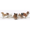 A group of five Beswick dogs, comprising 'Golden Retriever - Standing', model 3270, pale golden brow... 
