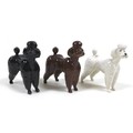 A group of three Beswick Poodles, model 1386, black - gloss, brown - gloss and white - gloss, 8.9cm ... 