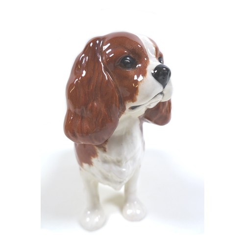 66 - A Beswick King Charles Spaniel 