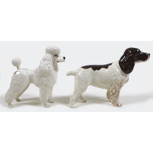 70 - A Beswick 'Poodle', model 2339, white - gloss, 14.6cm high, together with a 'Cocker Spaniel 