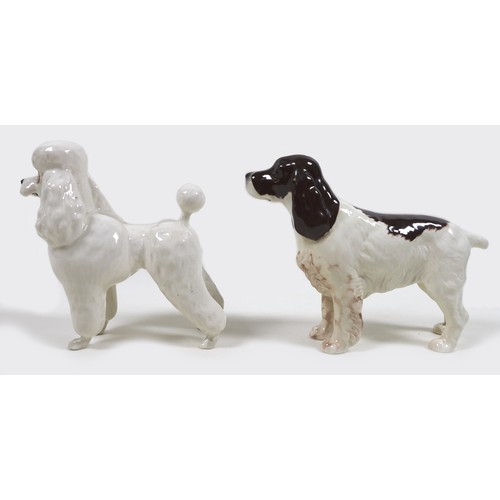 70 - A Beswick 'Poodle', model 2339, white - gloss, 14.6cm high, together with a 'Cocker Spaniel 