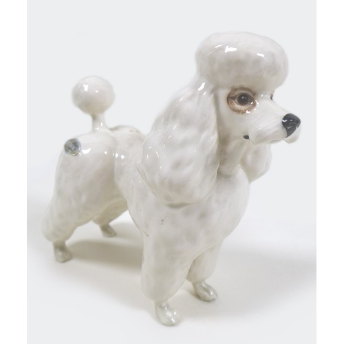 70 - A Beswick 'Poodle', model 2339, white - gloss, 14.6cm high, together with a 'Cocker Spaniel 