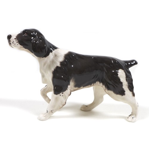 74 - A Beswick Royal Doulton 'Springer Spaniel', model 3135, RD and '107' stamped to the feet, dark brown... 