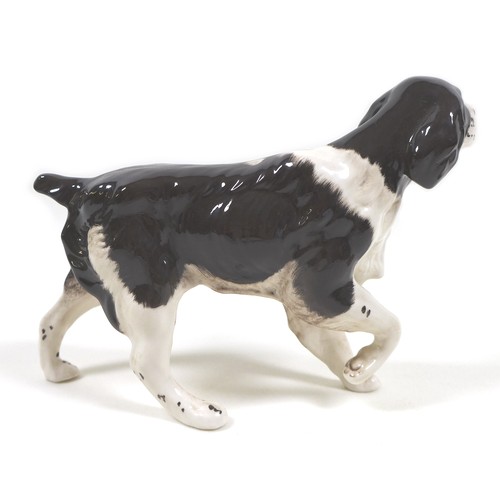 74 - A Beswick Royal Doulton 'Springer Spaniel', model 3135, RD and '107' stamped to the feet, dark brown... 