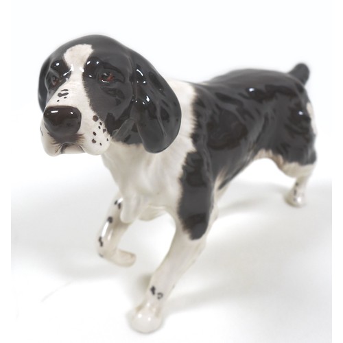 74 - A Beswick Royal Doulton 'Springer Spaniel', model 3135, RD and '107' stamped to the feet, dark brown... 