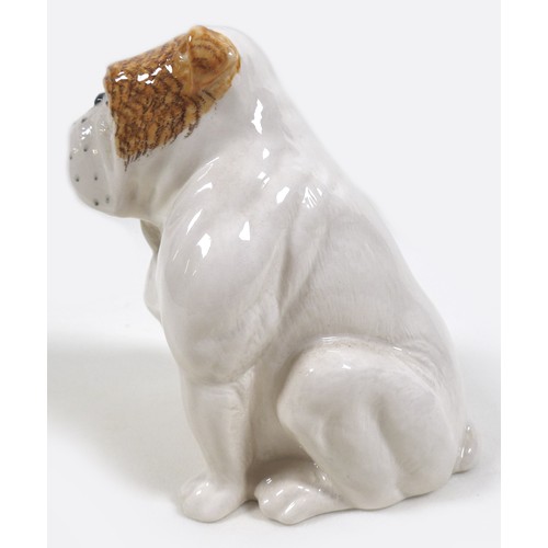 76 - A Beswick Royal Doulton seated Bulldog, model 1872, RD back stamp to the base, white, pale tan ear a... 