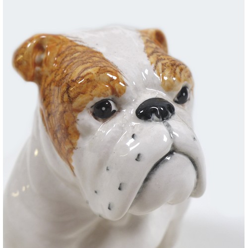 76 - A Beswick Royal Doulton seated Bulldog, model 1872, RD back stamp to the base, white, pale tan ear a... 