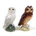 Two Beswick owls, comprising 'Snowy Owl', model 2826, white - gloss, 16.5cm high, and 'Short Eared O... 