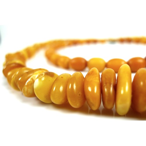 261 - Two amber necklaces, one formed of unpolished graduated butterscotch beads of irregular shape, large... 