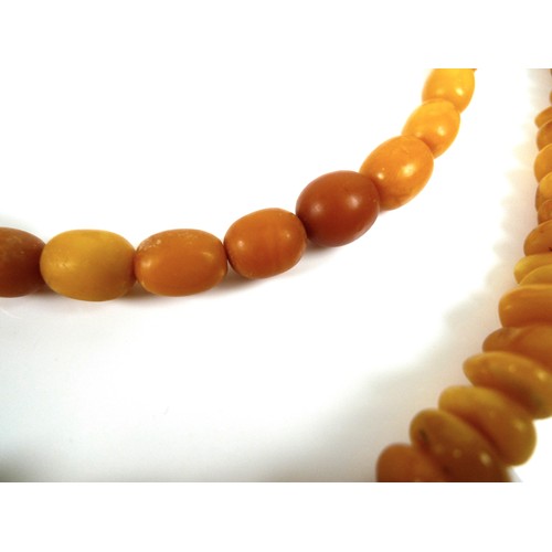 261 - Two amber necklaces, one formed of unpolished graduated butterscotch beads of irregular shape, large... 