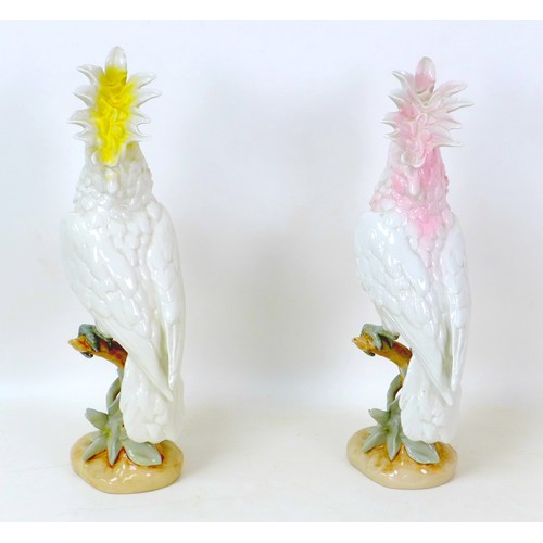 43 - Two Royal Dux Parrot figurines, the tallest with yellow tinged plumage, 40.5cm high, the other with ... 