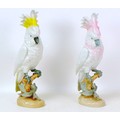Two Royal Dux Parrot figurines, the tallest with yellow tinged plumage, 40.5cm high, the other with ... 