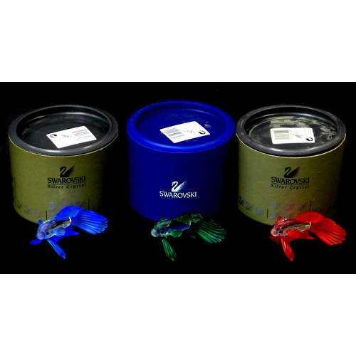 84 - Three Swarovski siamese fighting fish, comprising green A7644 NR 000 006, red A7644 NR 000 013, blue... 