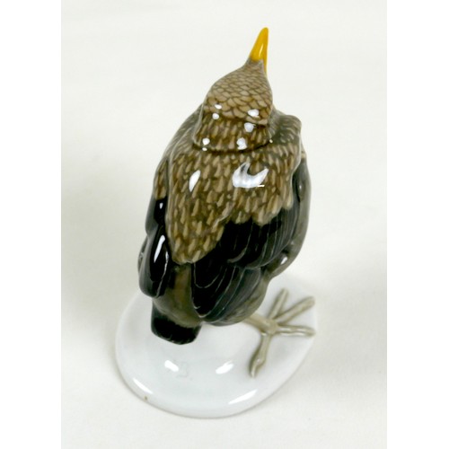 62 - A Meissen porcelain figurine, modelled as a 'Young Blackbird', circa 1930, model number C 280, by Ma... 