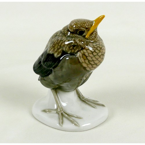 62 - A Meissen porcelain figurine, modelled as a 'Young Blackbird', circa 1930, model number C 280, by Ma... 