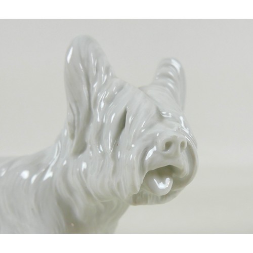 63 - A Meissen blanc de chine porcelain figurine, modelled as a 'Skye Terrier', circa 1940, model number ... 