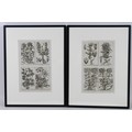 A pair of French 18th century copperplate botanical engravings, from Plantae per Galliam, Hispaniame... 