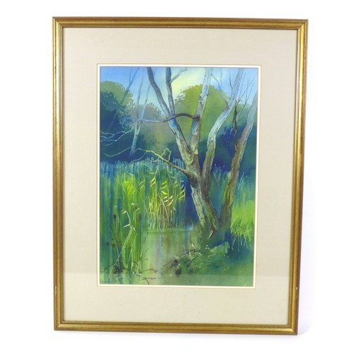 42 - Peter Atkin (British, 20th century): 'At Barnwell Country Park', watercolour, signed and dated '1992... 