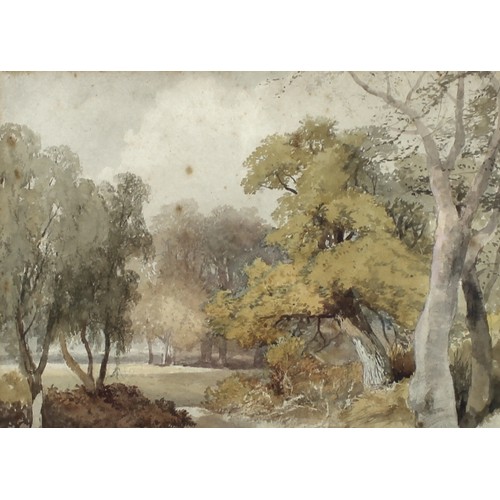 69 - General Walter Fane (British, 1828-1885): a landscape study with autumnal trees in parkland, probabl... 