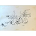 A large pen and ink drawing of garlic and chilli peppers, signed 'Guttyo' to the lower right, 35 by ... 