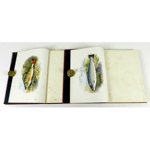 107 - British Fresh-Water Fishes by The Rev. W. Houghton M. A. F. L. S., 2 vols. 'Division I' and 'Divisio... 