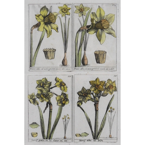 179 - A pair of French 18th century copperplate botanical engravings, from Plantae per Galliam, Hispaniame... 