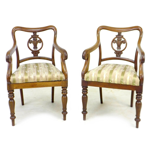 292 - A pair of Regency mahogany open arm chairs, with Prince of Wales feathers to the splat, shaped frame... 