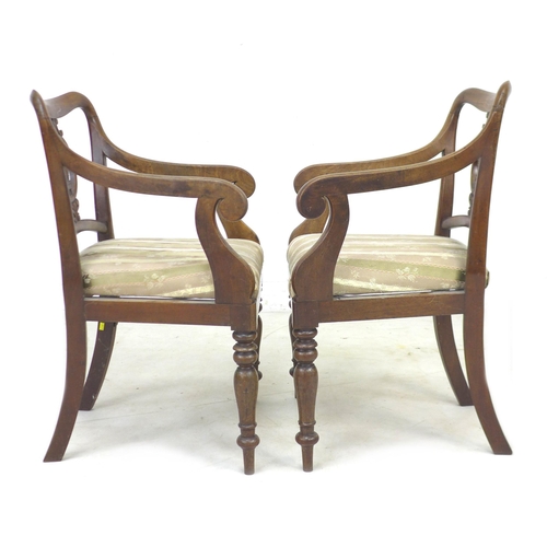 292 - A pair of Regency mahogany open arm chairs, with Prince of Wales feathers to the splat, shaped frame... 