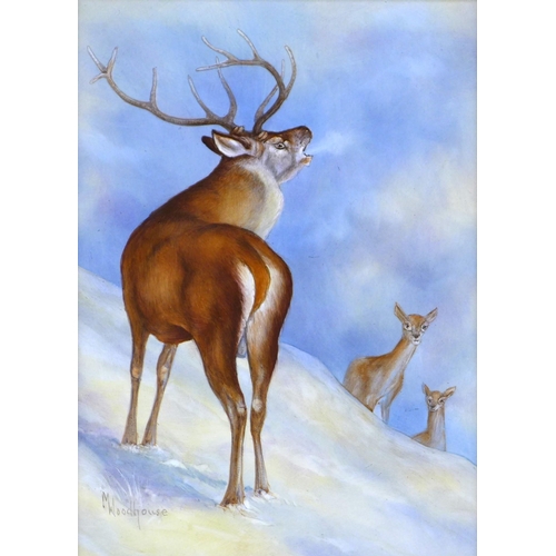 39 - M. Woodhouse (British, 20th century): a painted porcelain plaque, depicting a bellowing stag and two... 