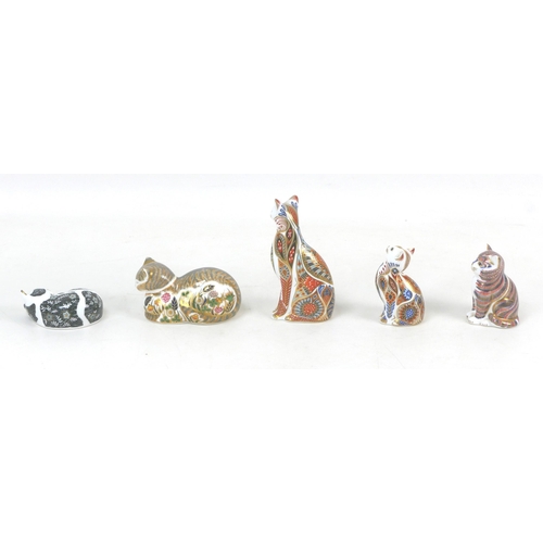 53 - Five Royal Crown Derby paperweights modelled as cats, comprising 