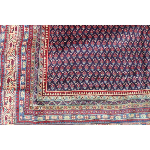 290 - An Araak rug, profuse geometric decoration upon a red ground with multi-coloured ground borders, 365... 