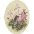 Dorothy Bovey: British (20th century): still life of flowers, signed lower right, oval format, water... 